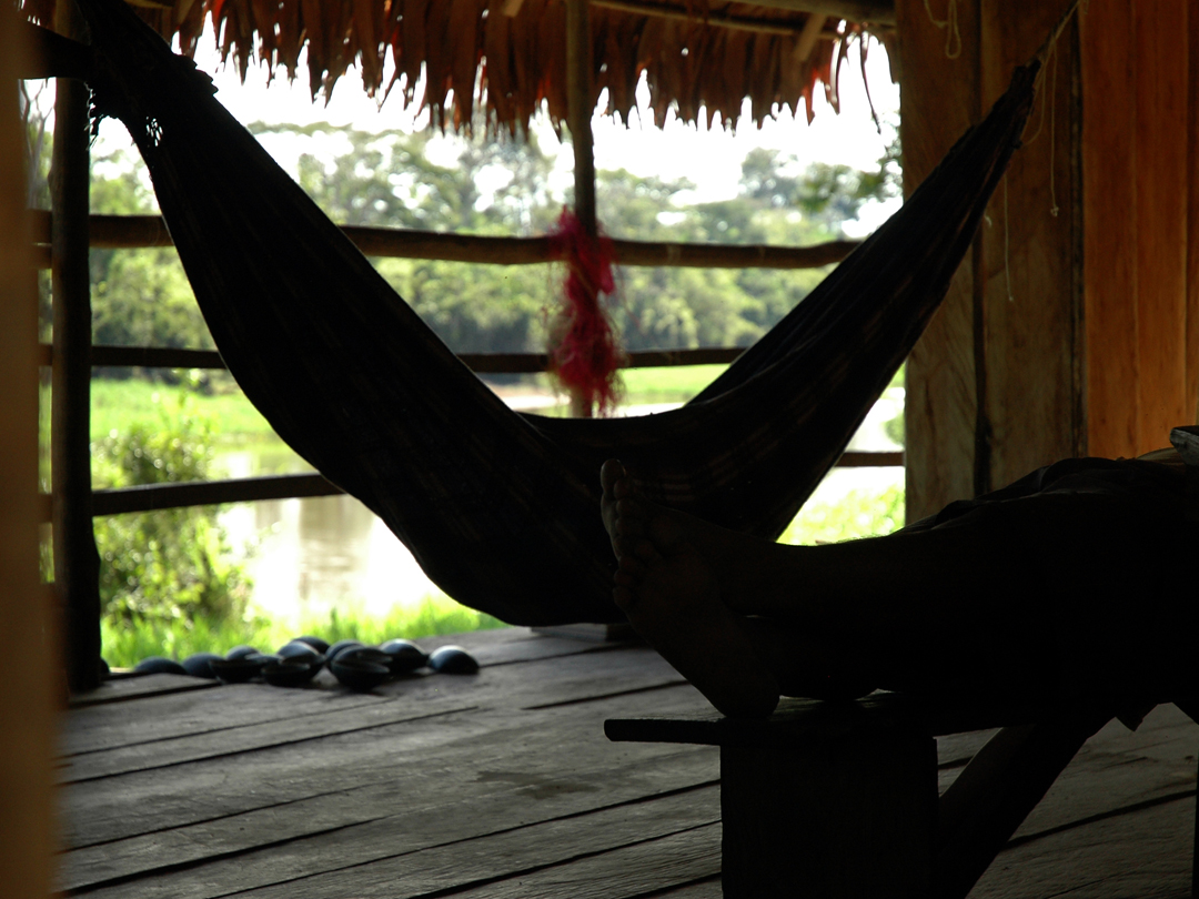203   Amazonia